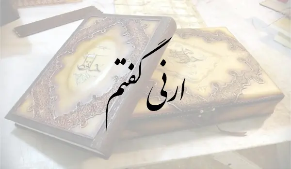 ارنی گفتم تا ببینم روی او